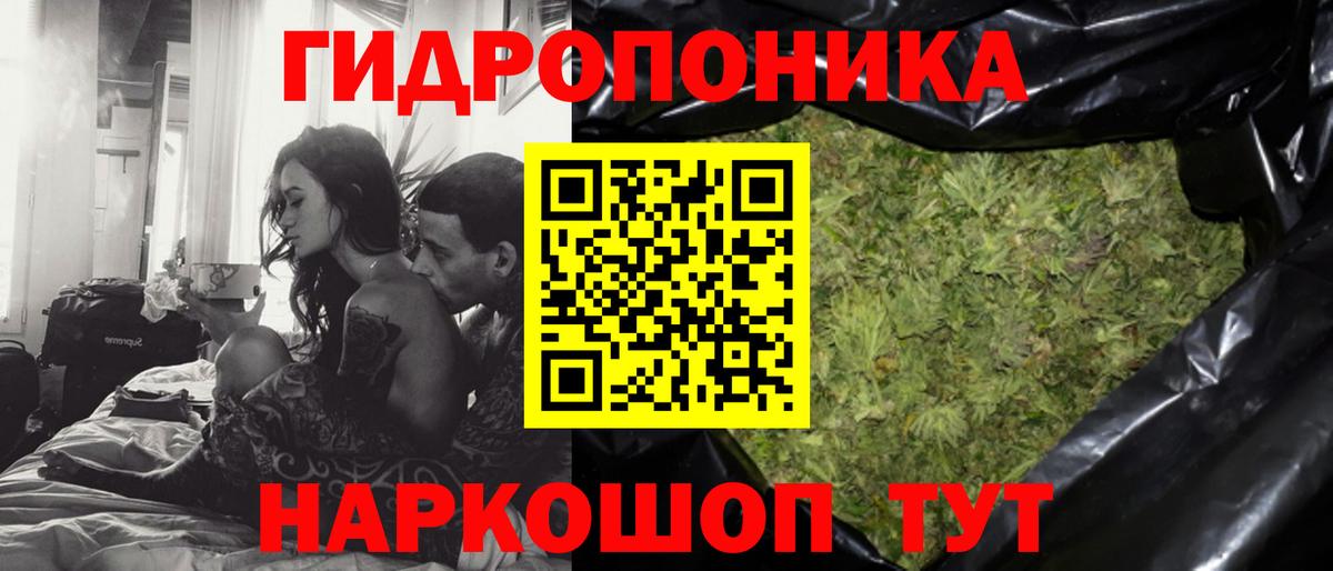 Бошки марихуана сатива Копейск